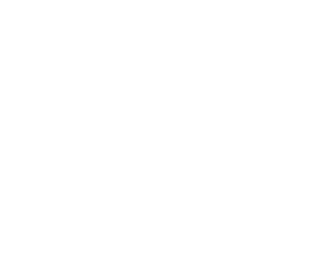 shapes5656